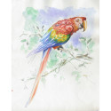 Initiat watercol pad- Animal 15sh 30x40cm/ Pc.