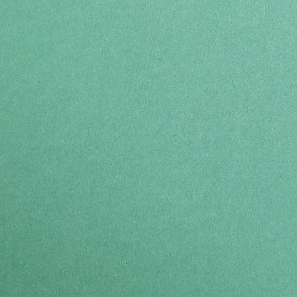 Maya 25bl 185g A3 dennengroen-/ St.