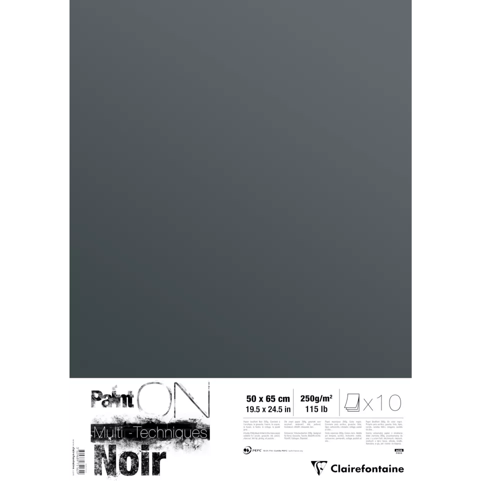 Paint'ON Noir paquet 10F 50x65cm...