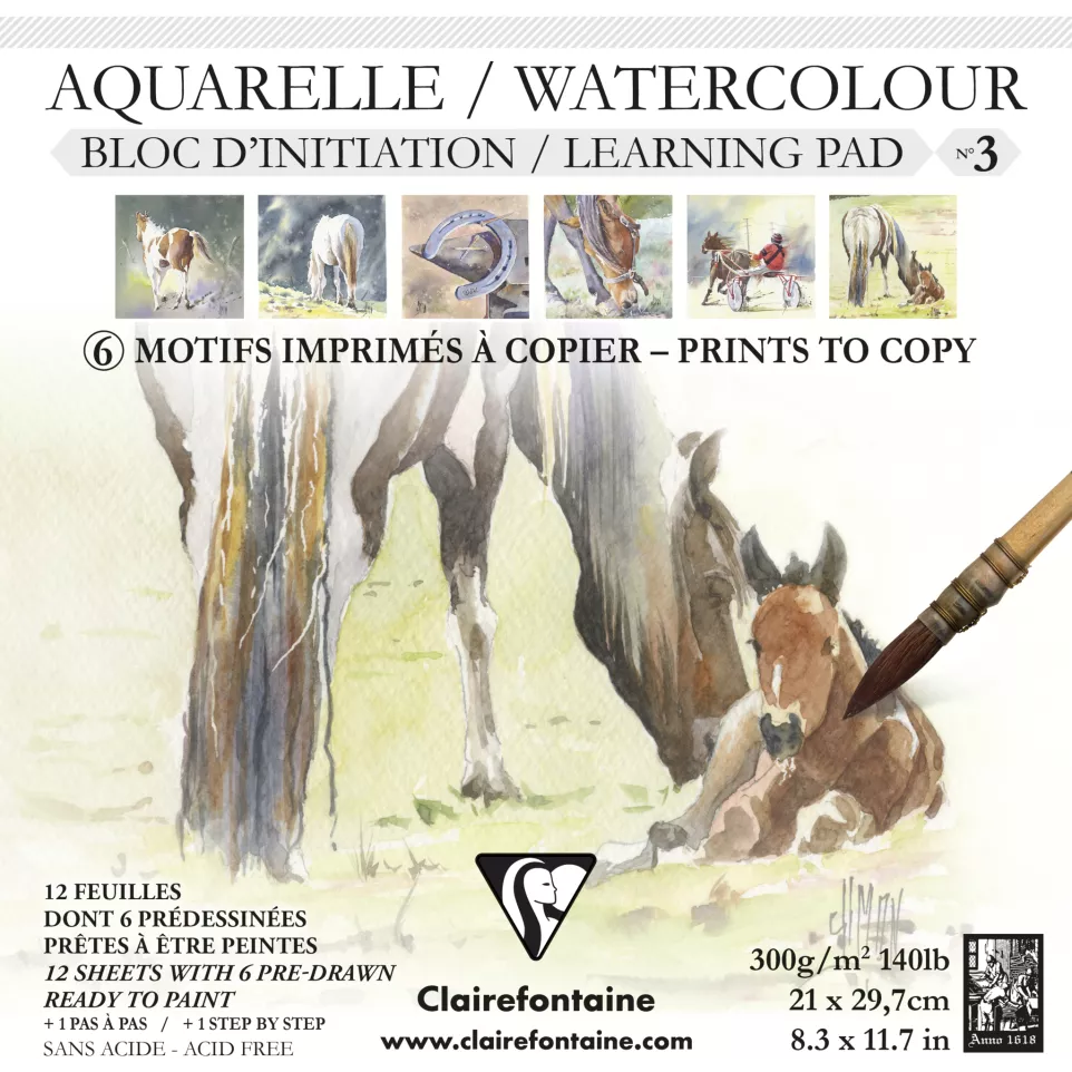 Initiation watercolo-ur pad n°3...
