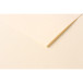Tulipe 50 bl 160g A3 ivoor-/ St.