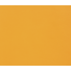 Clairefontaine Tulipe...