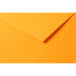Tulipe 50 bl 160g A3 oranje-/ St.
