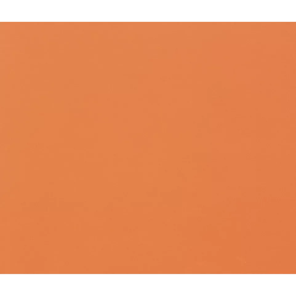Tulipe 50 bl 160g A3 oranje-/ St.