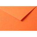 Tulipe 50 bl 160g A3 oranje-/ St.