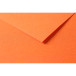 Tulipe 50 bl 160g A3 oranje-/ St.