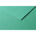 100sh Tulipe 160g A4 Dark green-/ Pc.