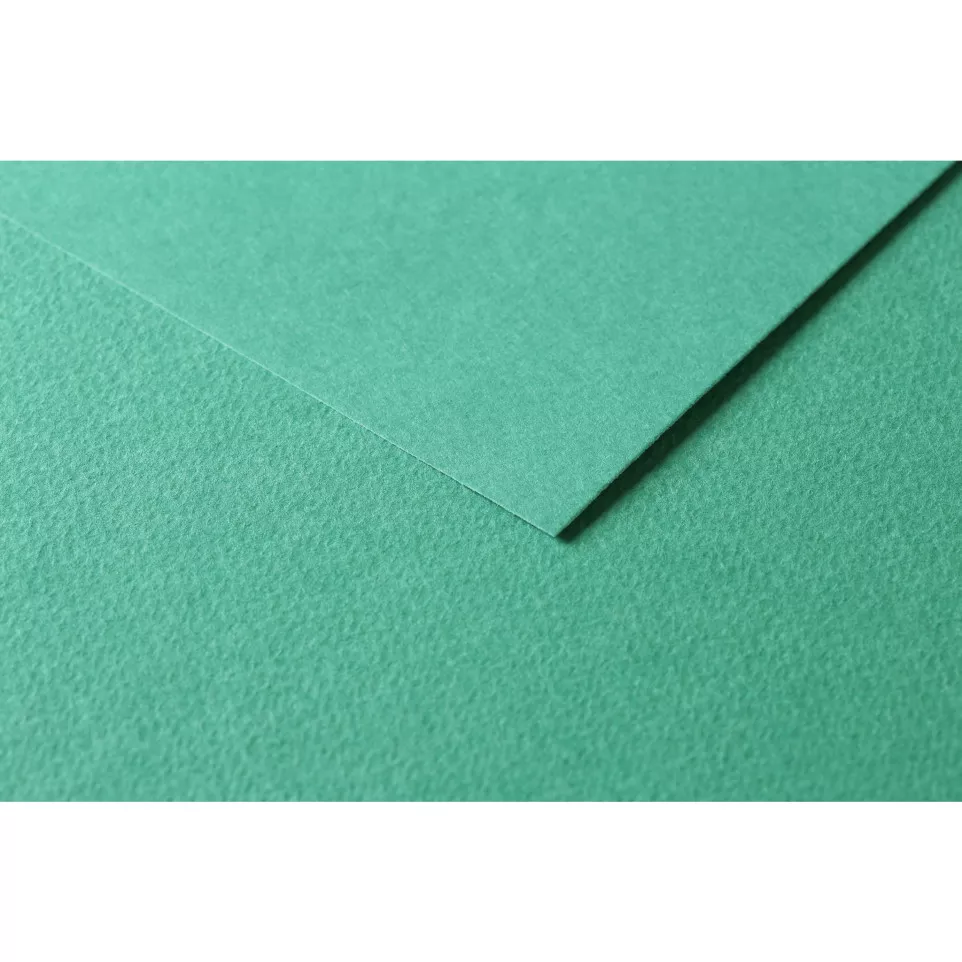 100sh Tulipe 160g A4 Dark green-/ Pc.