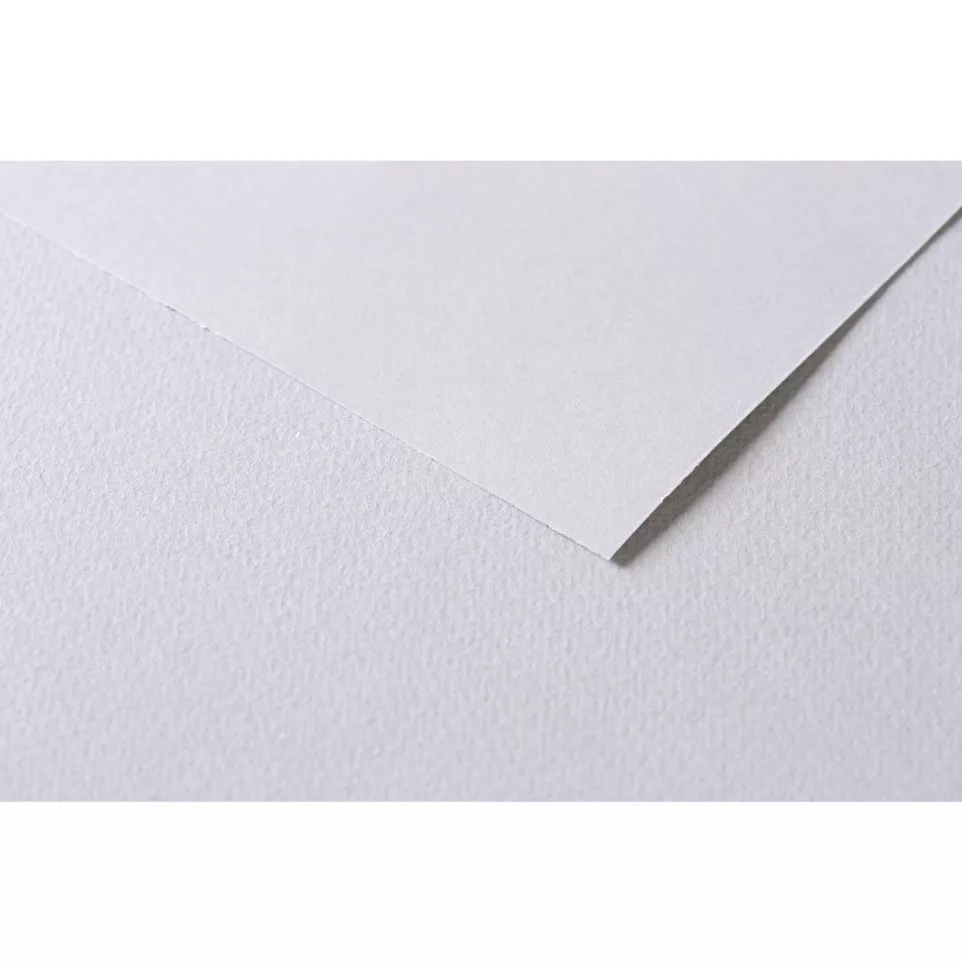 Tulipe 50 bl 160g 50x70 lichtgrijs-/ St.