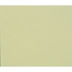 Tulipe 25 bl 160g 50x70...
