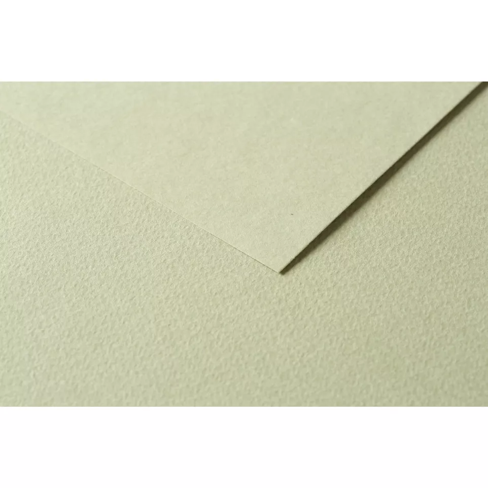 Tulipe Paper 160g 50x65cm/ Pc.