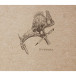 F.S. kraft sewn book- 15,5x15,5 50sh 90g/ Pc.