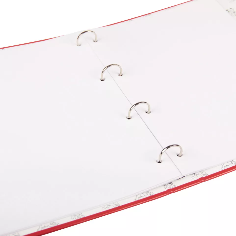 Ast3 Idéfix 4 rings-binder, assorted/...
