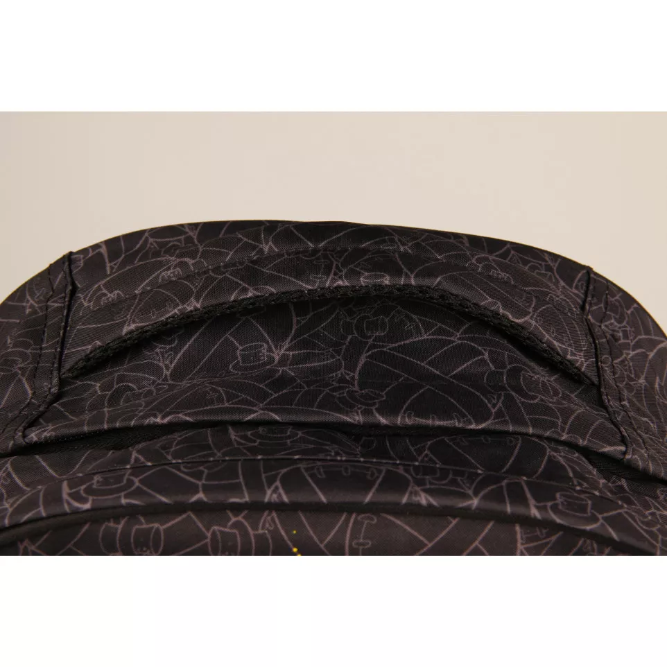 Ast Rugzak 2vak 30x14x40cm Boum-/ St.