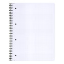 Carnet reliure intégrale Age Bag A4+ 160 pages détachables perforé 4 trous petits carreaux/ Pce
