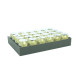 24 sierlint ei mat 10mx7mm goud-0mx7mm koker goud/ St.