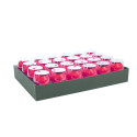 24 sierlint ei mat 1-0mx7mm koker rood/ St.
