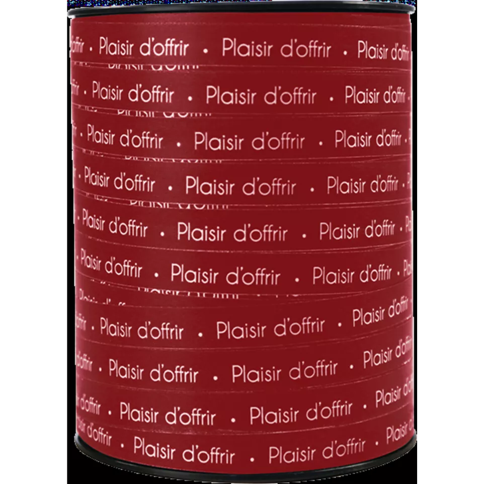 Rolls ribbon plais.d-offrir 225mx10mm...