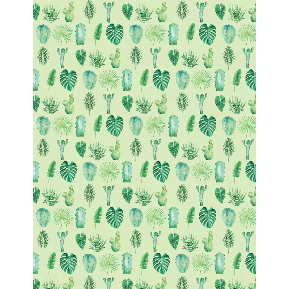 Decorativ'A4 25 blad, Cactus 5-/ St.