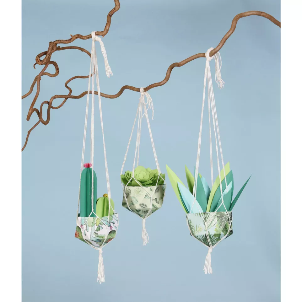 Decorativ'A4 25 blad, Cactus 5-/ St.