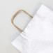 Set 25 bag plain kra-ft 22x10x27cm Silver/ Pc.