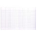 Cahier piqué Mimesys 17x22cm 48 pages grands carreaux couverture polypropylène/ Pce