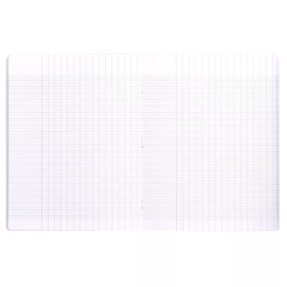 Cahier piqué Mimesys 24x32cm 96 pages...