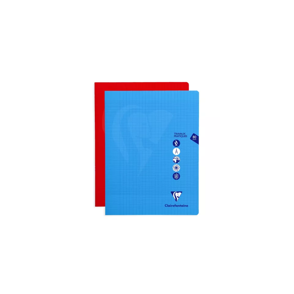 MIMESYS LABO. WORKBK- 24X32 40SH...