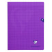 Cahier piqué Mimesys 24x32cm 48 pages grands carreaux couverture polypropylène Couleur aléatoire/ Pce