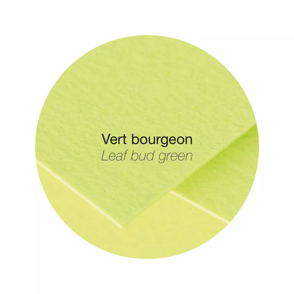 Paquet de 5 feuilles Pollen 210x297mm...