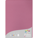 Etui de 25 feuilles Pollen 210x297 210g/m2/ Pce