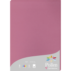 Etui de 25 feuilles Pollen...