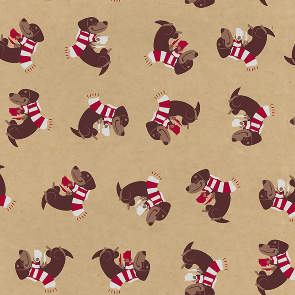 Kraft 70g, Générosit-é, Tiny 5x0,35m...