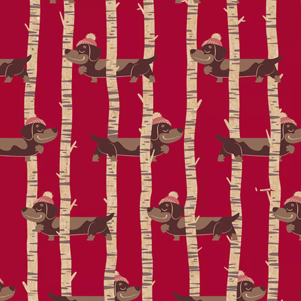 Kraft 70g, Générosit-é, Tiny 5x0,35m...