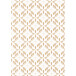 Kraft 70g,Tiny 5x0,35m Fleurs blanches/ Pce
