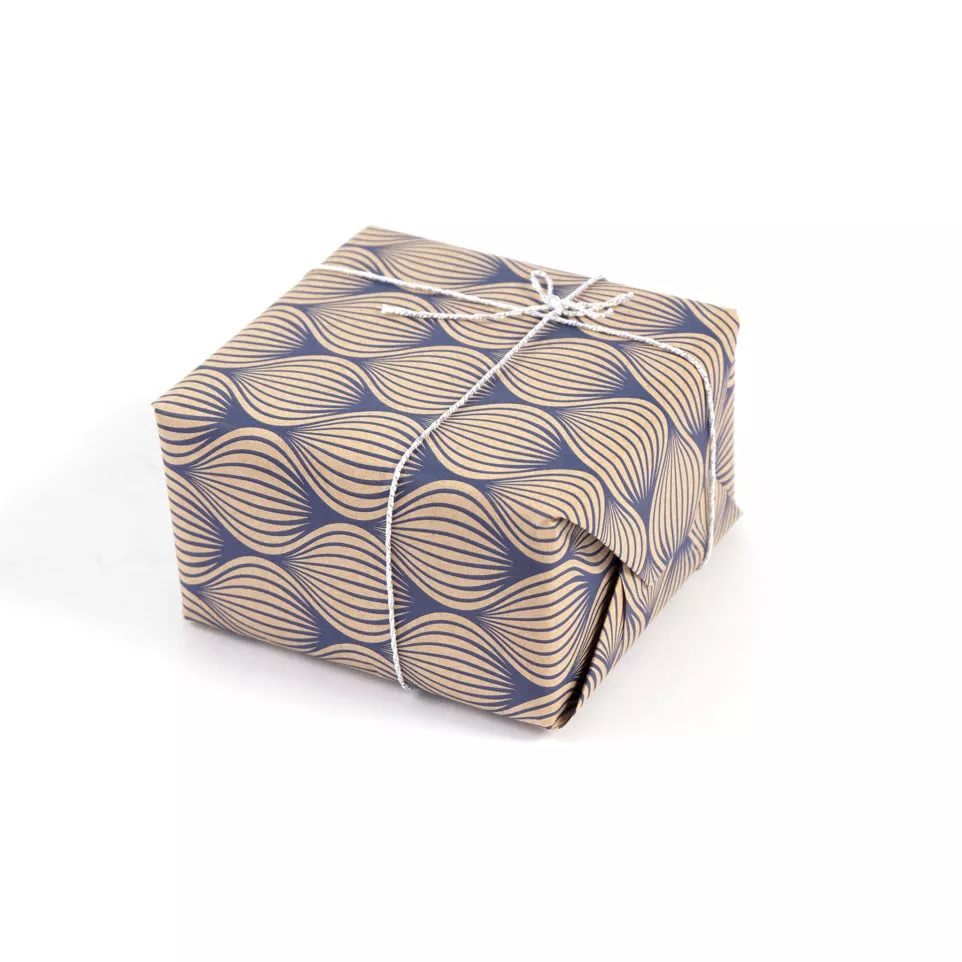 Kraft 70g,Tiny 5x0,35m Feuilles...