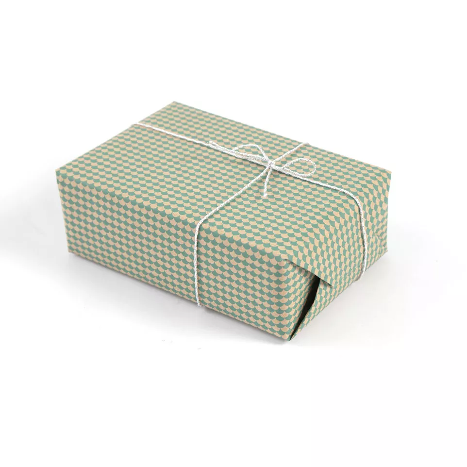 Kraft brut 70g Tiny-rl 5x0,35m...