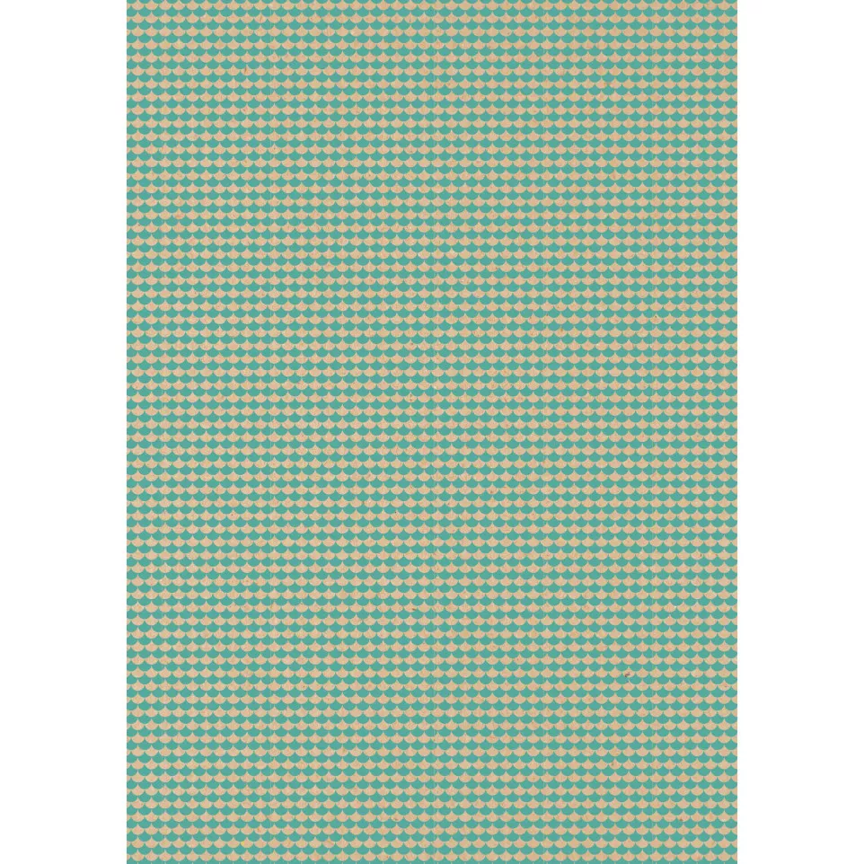 Kraft brut 70g Tiny-rl 5x0,35m...