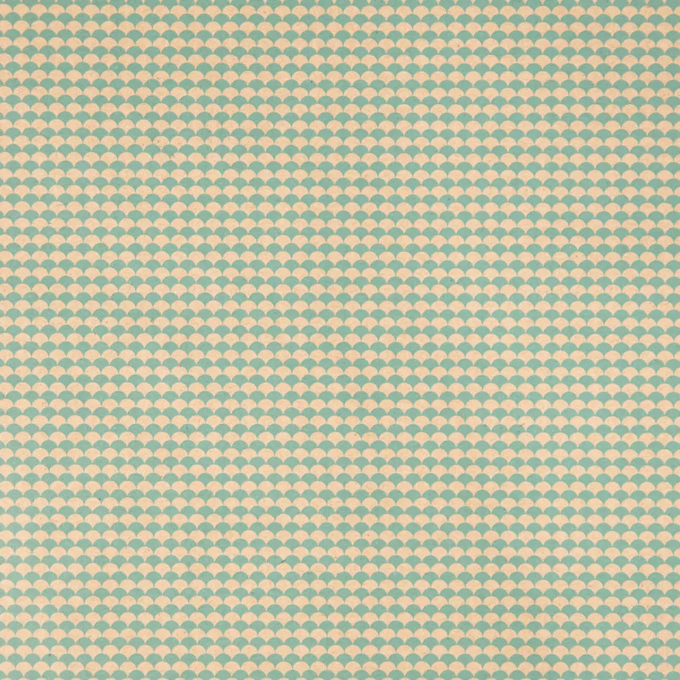Kraft brut 70g Tiny-rl 5x0,35m...