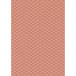 Kraft brut 70g Neon  2x0,70m 30 rol-/ St.