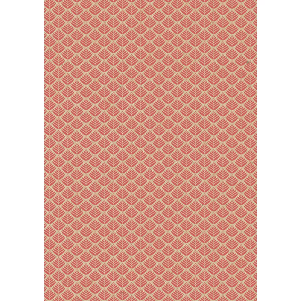 Kraft brut 70g, Neon 2x0,70m prés....