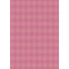 Kraft brut 70g Neon  2x0,70m 30 rol-/ St.