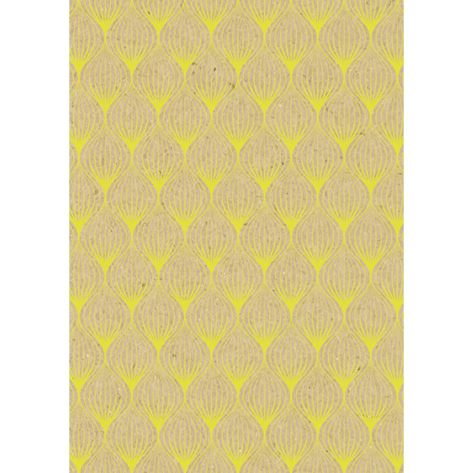 Kraft brut 70g, Neon 2x0,70m prés....