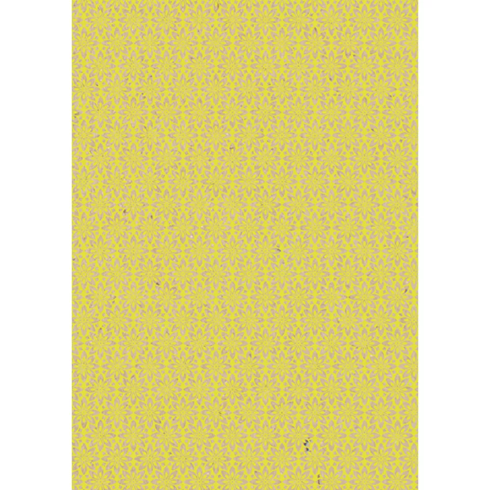 Kraft brut 70g Neon  2x0,70m 30 rol-/...