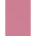 Kraft brut 70g, Neon 2x0,70m prés. 30rlx/ Pce