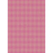 Kraft brut 70g, Neon 2x0,70m prés. 30rlx/ Pce