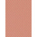 Kraft brut 70g Neon  2x0,70m 30 rol-/ St.