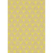 Kraft brut 70g, Neon 2x0,70m prés. 30rlx/ Pce