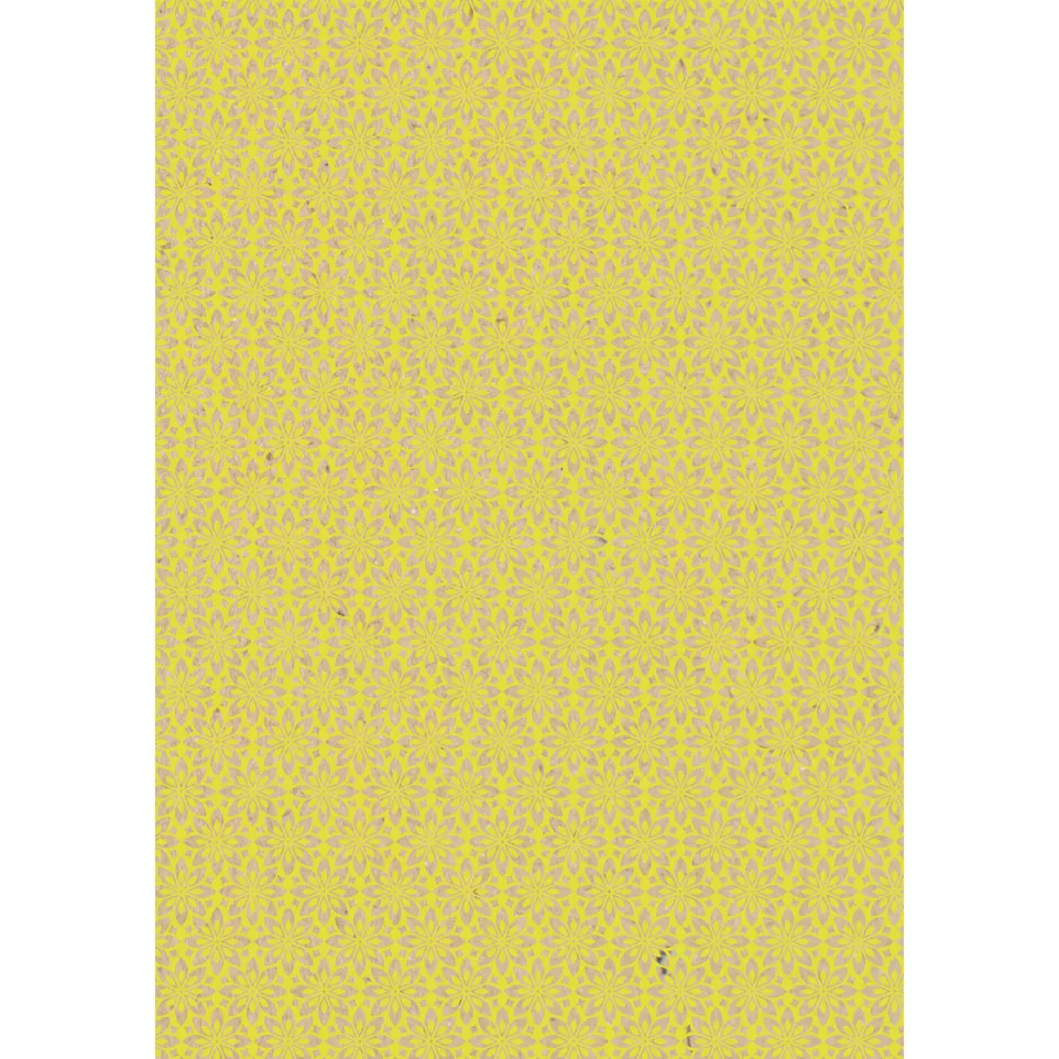 Kraft brut 70g Neon  2x0,70m 30 rol-/...