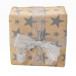 Kraft brut 70g rl 50-mx0,70m Xmas ster/ St.